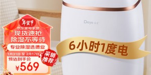 曝光德业DYD-E12A3优缺点曝光分析？用了两个月心得分享？