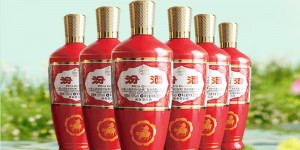 想了解汾酒53度汾酒红玻500ml*6白酒怎么样？分享三个月真相分享？